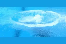 跳水男子10米台预赛 日本选手西田玲雄第3跳炸鱼图片