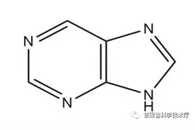 科技名词|什么是嘌呤？图片