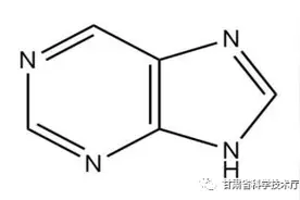 科技名词|什么是嘌呤？图片