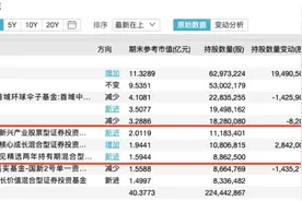 狂买这些股！刘格菘、赵诣、蔡嵩松、李元博、归凯等明星基金经理最新“心水股”大曝光图片