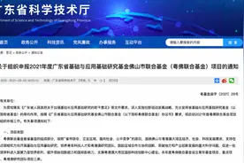 2021粤佛联合基金项目申报启动，资助强度最高200万元图片