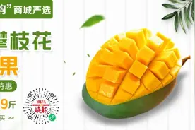 速看！南昌一地发布小学招生学区范围图片