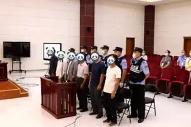 700余亩草原被毁坏！宁夏6人领刑图片