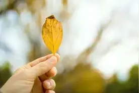 立秋，收获诗意时光图片