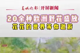 20余种欧洲野花绚丽绽放！快来看昆明这处“花花世界”→图片