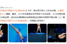 祝贺！东京奥运中国跳水7金5银收官图片