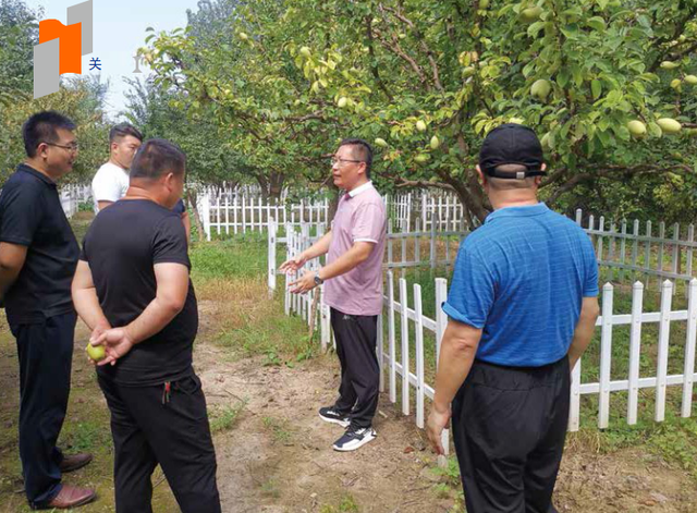 闊╅噾榫欙細璁╄弿娉芥湪鐡滅剷鍙戞柊鐨勭敓鏈? data-type=