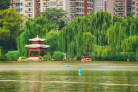 临河漫步、泛舟湖面，立秋来紫竹院享惬意时光图片