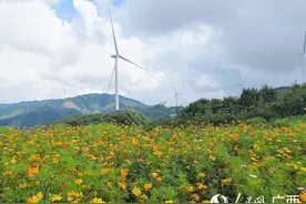 中广核为乐业县乡村振兴注入“硬核”力量图片