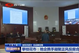 四川新闻联播丨攀枝花市：地企携手凝聚正风反腐合力图片