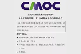 斥资162亿扩产，洛阳钼业铜钴产量将翻番图片