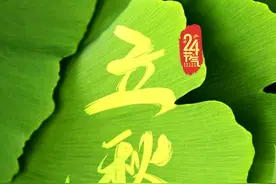 主播说联播｜刘国梁一段动员讲话火了，刚强：厚积“搏”发，才会收获满满图片