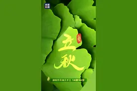主播说联播｜刘国梁一段动员讲话火了，刚强：厚积“搏”发，才会收获满满图片