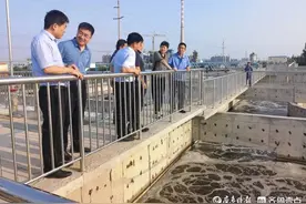 莘县县委副书记王丽慧督导水污染防治工作图片