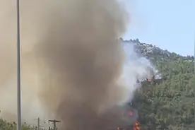 希腊：雅典北郊山火加速蔓延 灭火救援面临考验视频封面