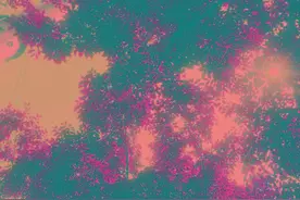 书影‖菊次郎的夏天图片