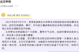 北京野生动物园：游客撕打引发动物夜里效仿 经教育动物知错图片