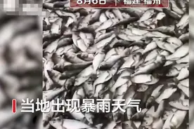 福州开闸泄洪几千斤鱼顺流而下，村民满载而归！网友看馋了图片