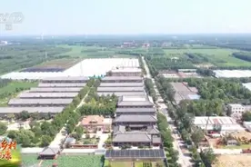 山东乐陵：户户住别墅 人人有收入图片