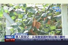 重走天路看变迁丨僜人脱贫记：从深度贫困村到边境小康村图片