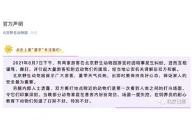 北京野生动物园内游客打斗，园方：引发动物效仿，场面失控图片