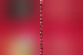 收官！祝贺！中国军团东京奥运38金全记录图片