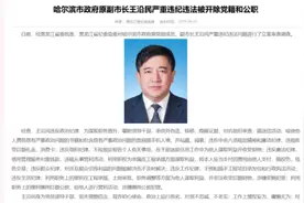 哈尔滨原副市长王沿民被双开：对抗组织审查，搞迷信活动视频封面
