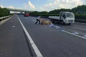 高速纸堆散落 交警紧急清理图片