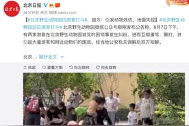 见笑了……动物第一次看到人类打斗，当晚纷纷效仿图片