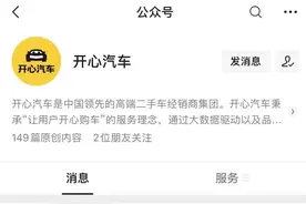 持续亏损入局造车 开心汽车“开心就好”图片