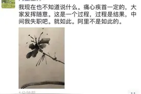 阿里“破冰文化”刷屏！紧急回应来了，阿里合伙人：我失职，但阿里不是如此的！一当事人：污蔑，没摸也没亲图片