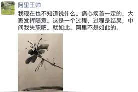 阿里“破冰文化”刷屏！紧急回应来了，阿里合伙人：我失职，但阿里不是如此的！一当事人：污蔑，没摸也没亲图片