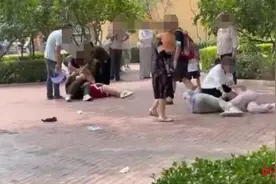 北京野生动物园声明火了，动物们真的纷纷效仿打架？还是专家最明了图片