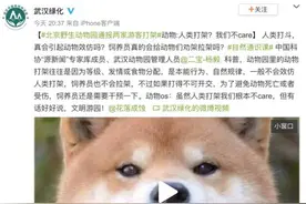 北京野生动物园里游客打斗，真会引起动物效仿吗？图片