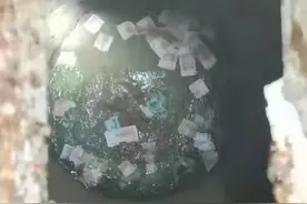 急丨宁夏女孩摘枸杞挣得2980元，全部掉入化粪池图片