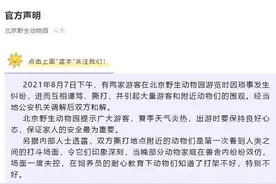 明星饲养员：动物打架挺正常，不存在饲养员耐心安慰图片