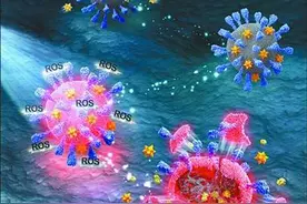 新型光敏剂可实现冠状病毒高效灭活图片