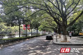 我能做些什么？疫情下的株洲，市民这些举动令人感动图片