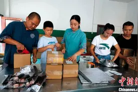 湖北“土家妹”变带货达人 带村民增收图片