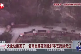 大象快到家了！云南北移亚洲象群平安跨越元江视频封面