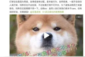 专家科普：北京野生动物园里游客打斗，真会引起动物效仿吗？图片