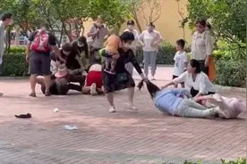 动物园动物效仿游客打架？专家：无直接联系，动物天生会打架图片