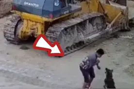 男子走路时被狗狗攻击，反应神速上演徒手擒拿狗，网友：是个狠人图片