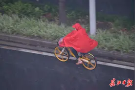 立秋刚过风雨来图片