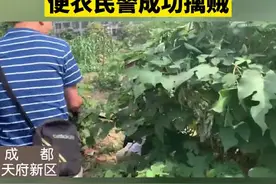 太帅了！当场丢翻！警察哥哥这一摔，竟引来2500万人围观图片