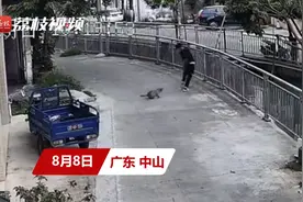 男子走路被狗追咬，吓得直接翻护栏跳进水沟，知情者：又搞笑又心疼图片