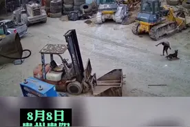 神反应！男子走路被狗攻击，下一秒一招“擒拿手”将其制服图片