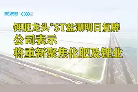 盐湖股份恢复上市，复牌大涨343%，总市值高达2130亿视频封面