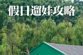 开车40分钟实现田园牧歌？萧山竟藏着这么多遛娃好去处图片