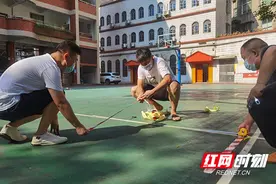 谁是最可爱的人 致敬抗疫一线的芦淞教师志愿者图片